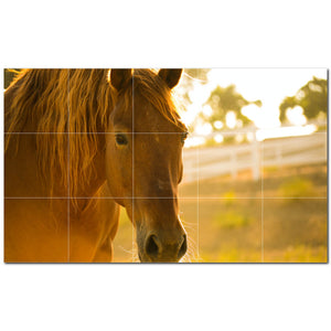 horse ceramic tile wall mural kitchen backsplash bathroom shower p500753