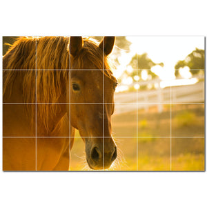 horse ceramic tile wall mural kitchen backsplash bathroom shower p500753