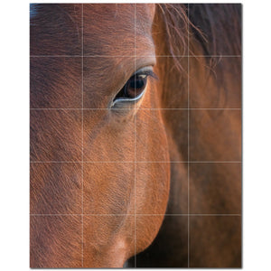 horse ceramic tile wall mural kitchen backsplash bathroom shower p500754