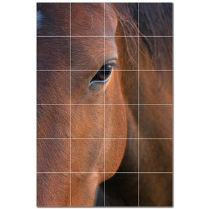 horse ceramic tile wall mural kitchen backsplash bathroom shower p500754