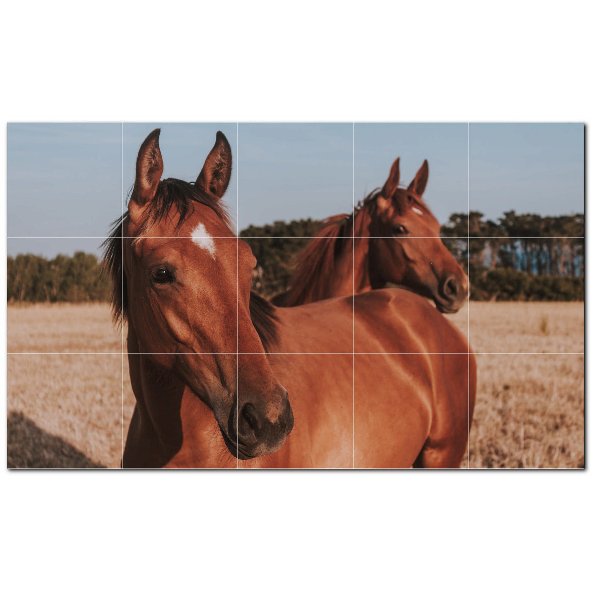 horse ceramic tile wall mural kitchen backsplash bathroom shower p500755