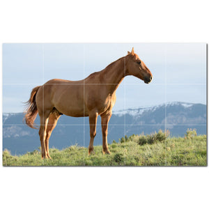 horse ceramic tile wall mural kitchen backsplash bathroom shower p500756