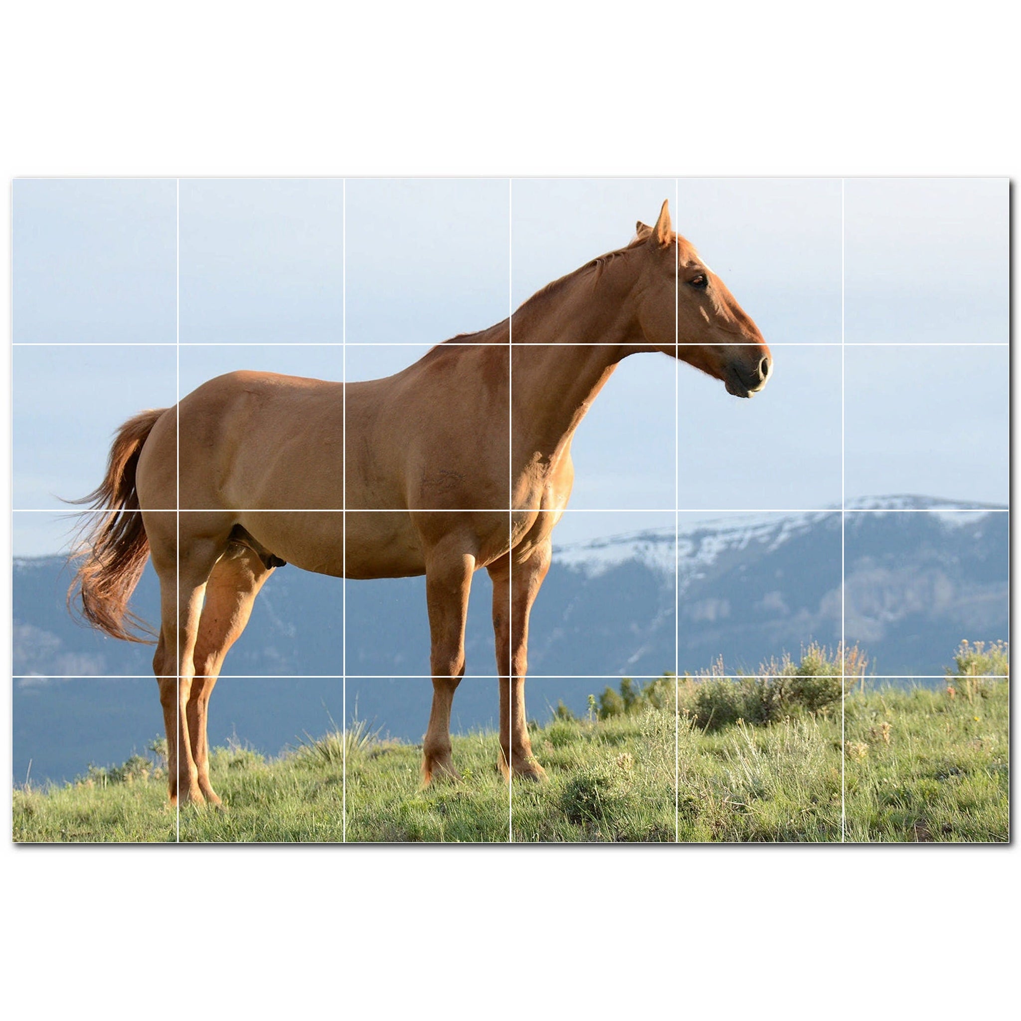 horse ceramic tile wall mural kitchen backsplash bathroom shower p500756