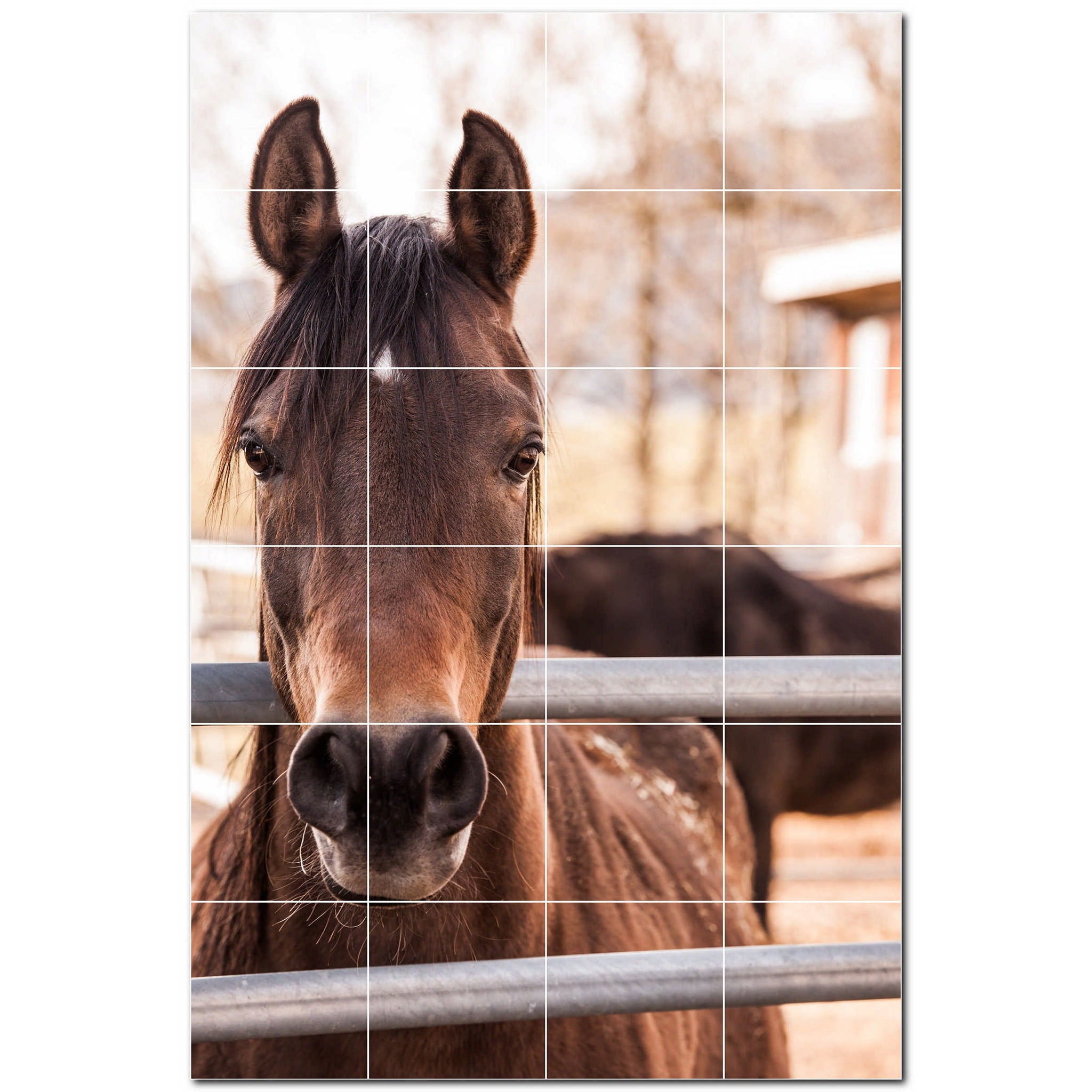 horse ceramic tile wall mural kitchen backsplash bathroom shower p500764