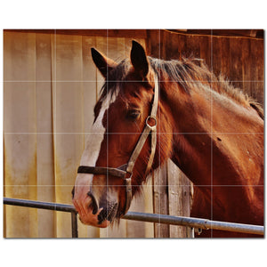 horse ceramic tile wall mural kitchen backsplash bathroom shower p500766