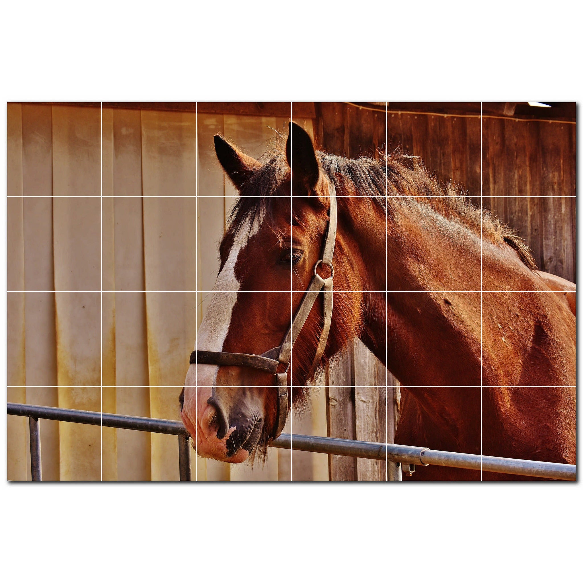 horse ceramic tile wall mural kitchen backsplash bathroom shower p500766