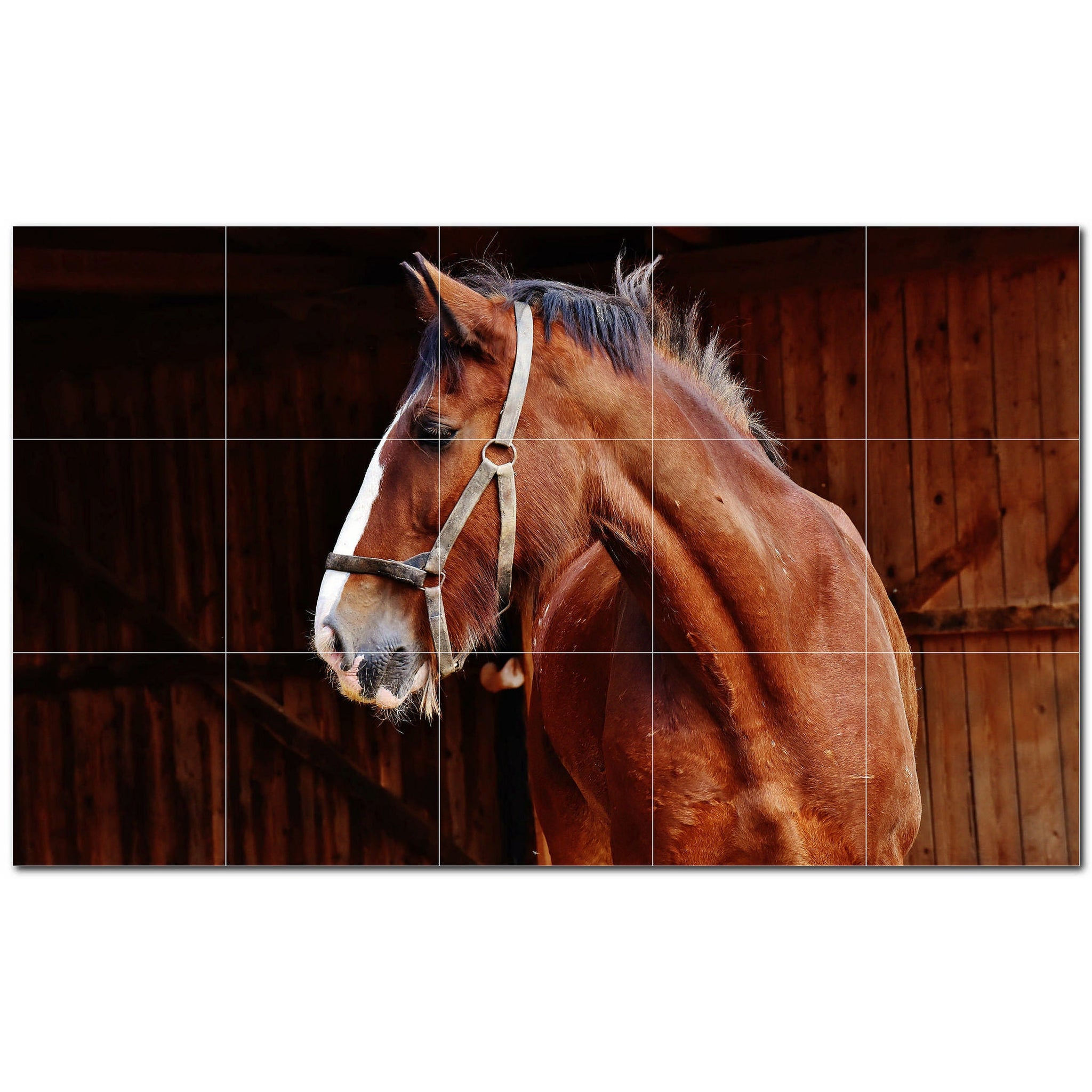 horse ceramic tile wall mural kitchen backsplash bathroom shower p500767