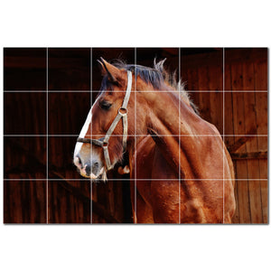 horse ceramic tile wall mural kitchen backsplash bathroom shower p500767