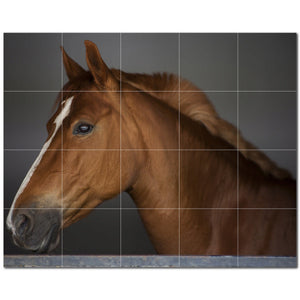 horse ceramic tile wall mural kitchen backsplash bathroom shower p500768