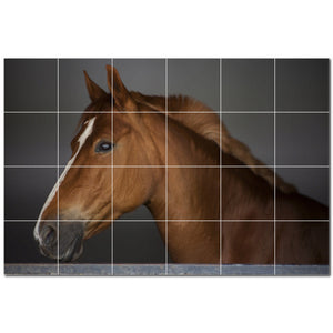 horse ceramic tile wall mural kitchen backsplash bathroom shower p500768