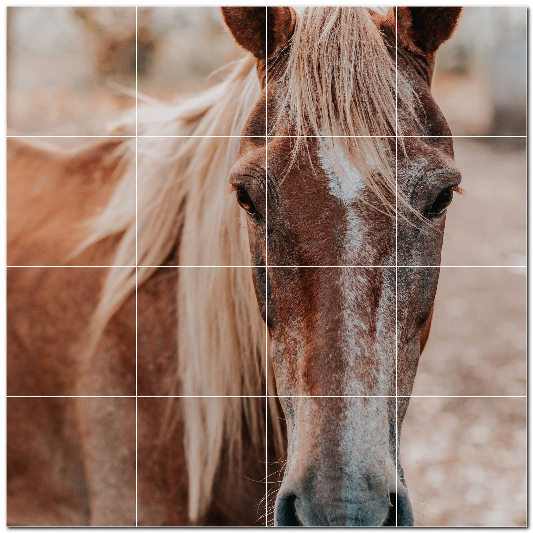 horse ceramic tile wall mural kitchen backsplash bathroom shower p500769