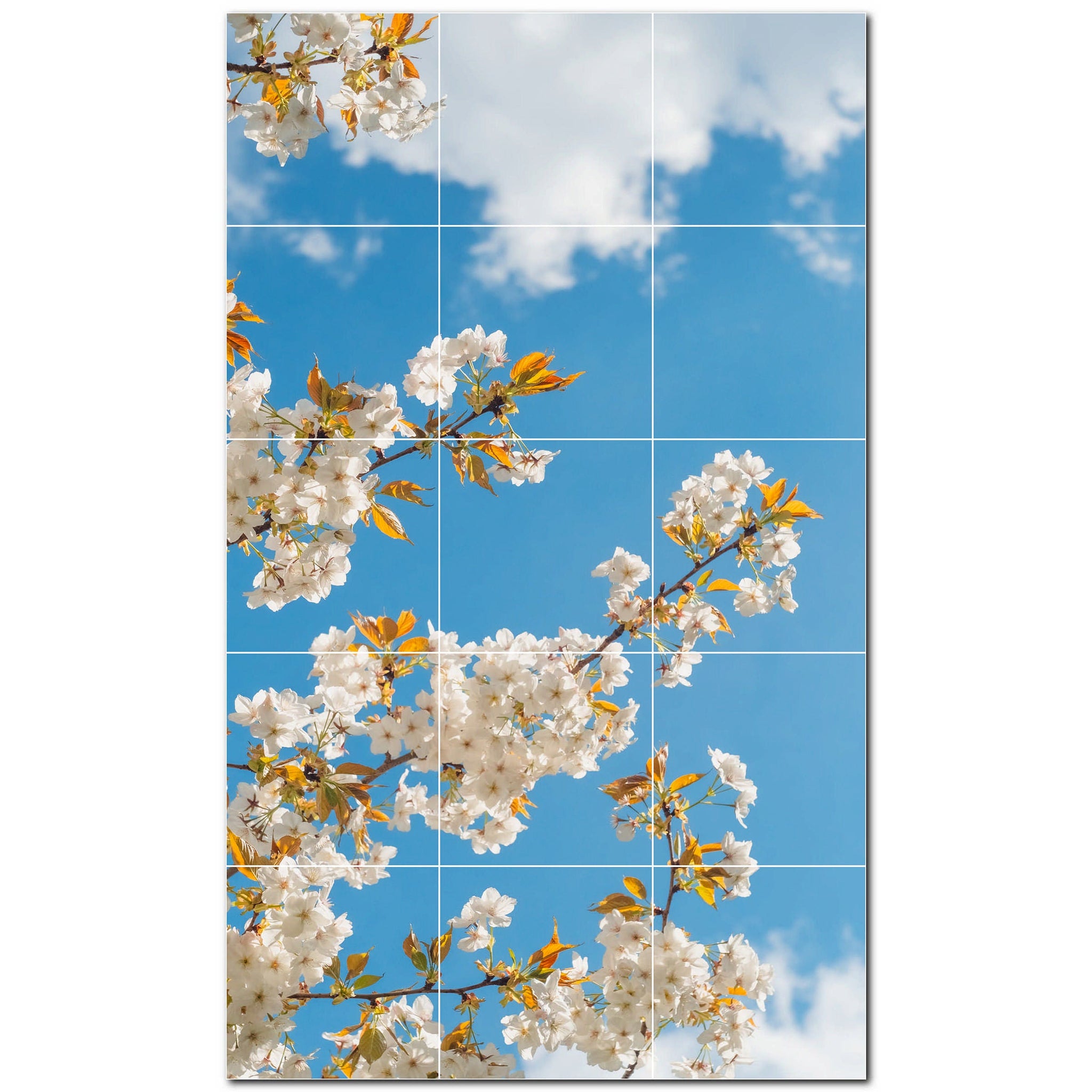 Spring Photo Tile Murals – Picture-Tiles.com