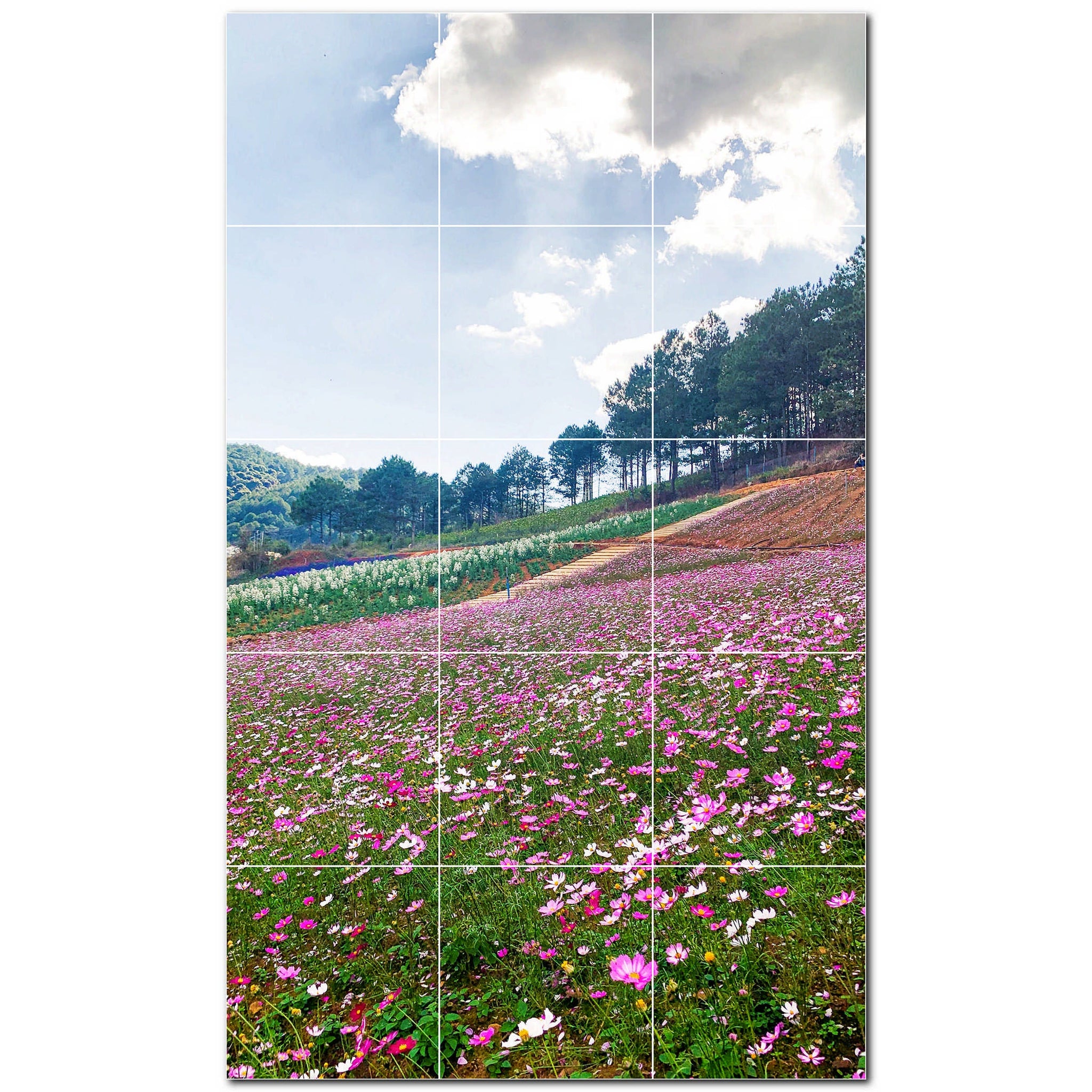 Spring Photo Tile Murals – Picture-Tiles.com