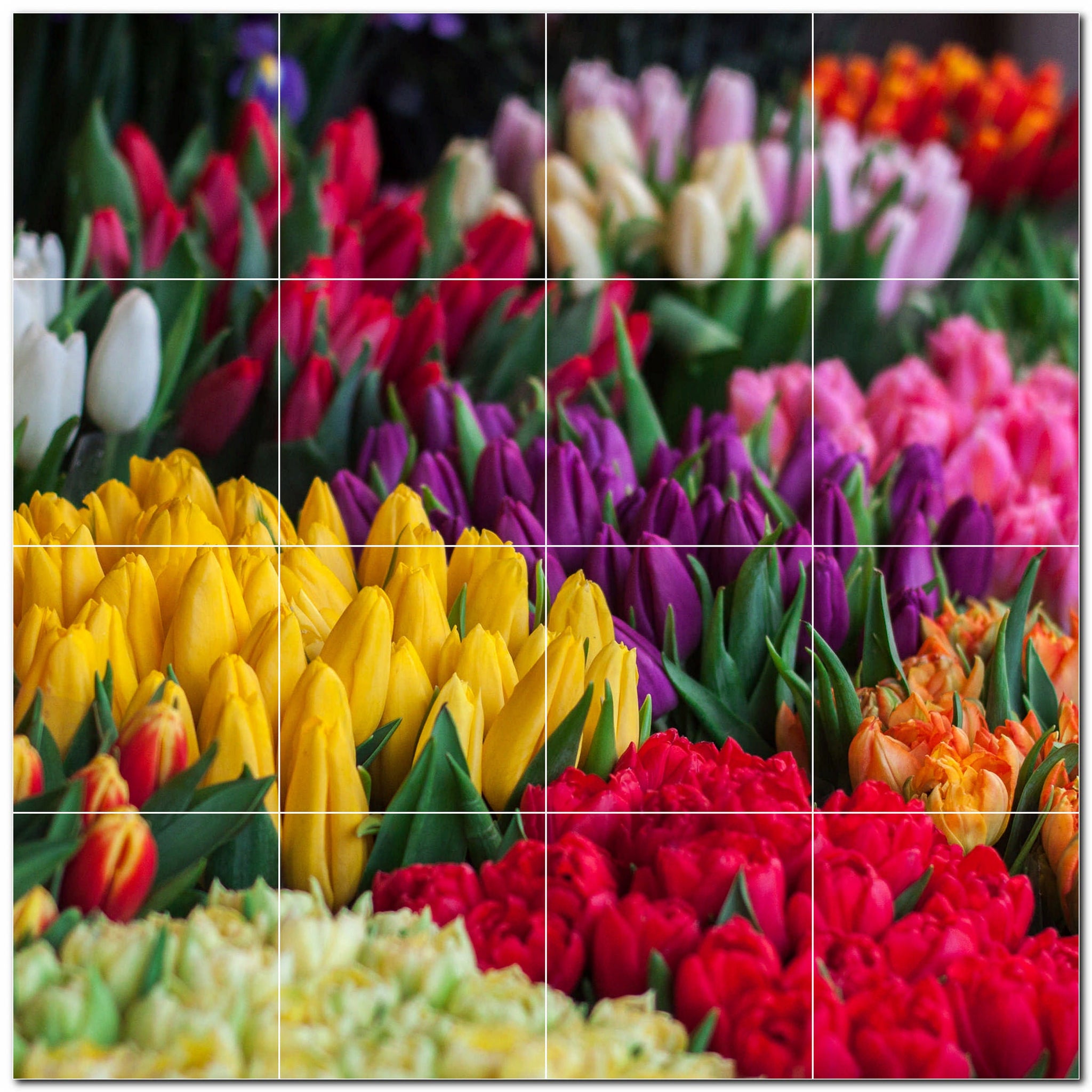 Spring Photo Tile Murals – Picture-Tiles.com