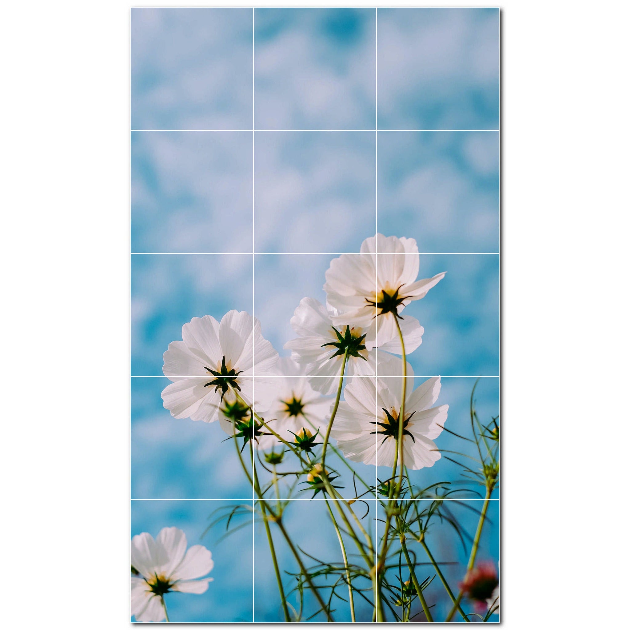 Spring Photo Tile Murals – Picture-Tiles.com