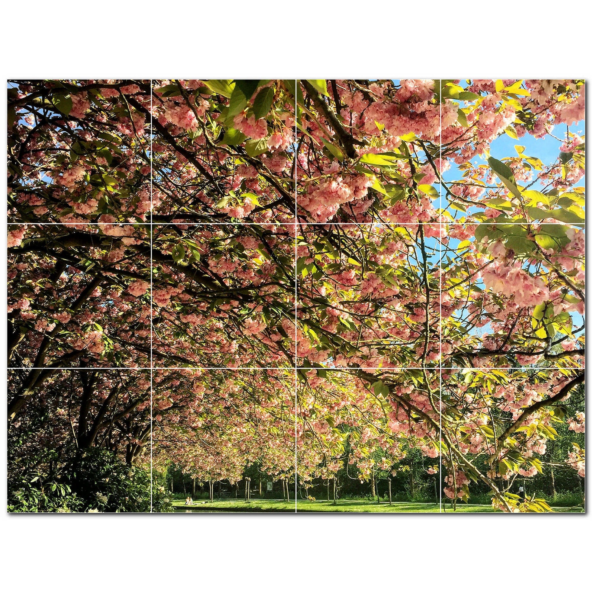 Spring Photo Tile Murals – Picture-Tiles.com