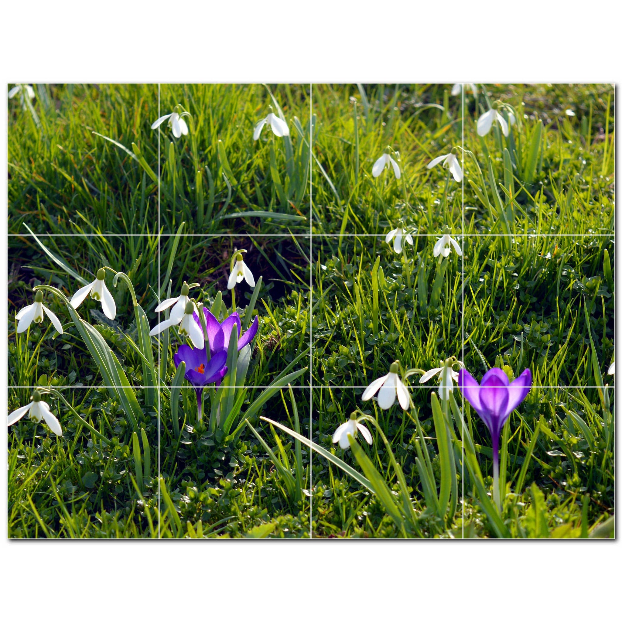 Spring Photo Tile Murals – Picture-Tiles.com
