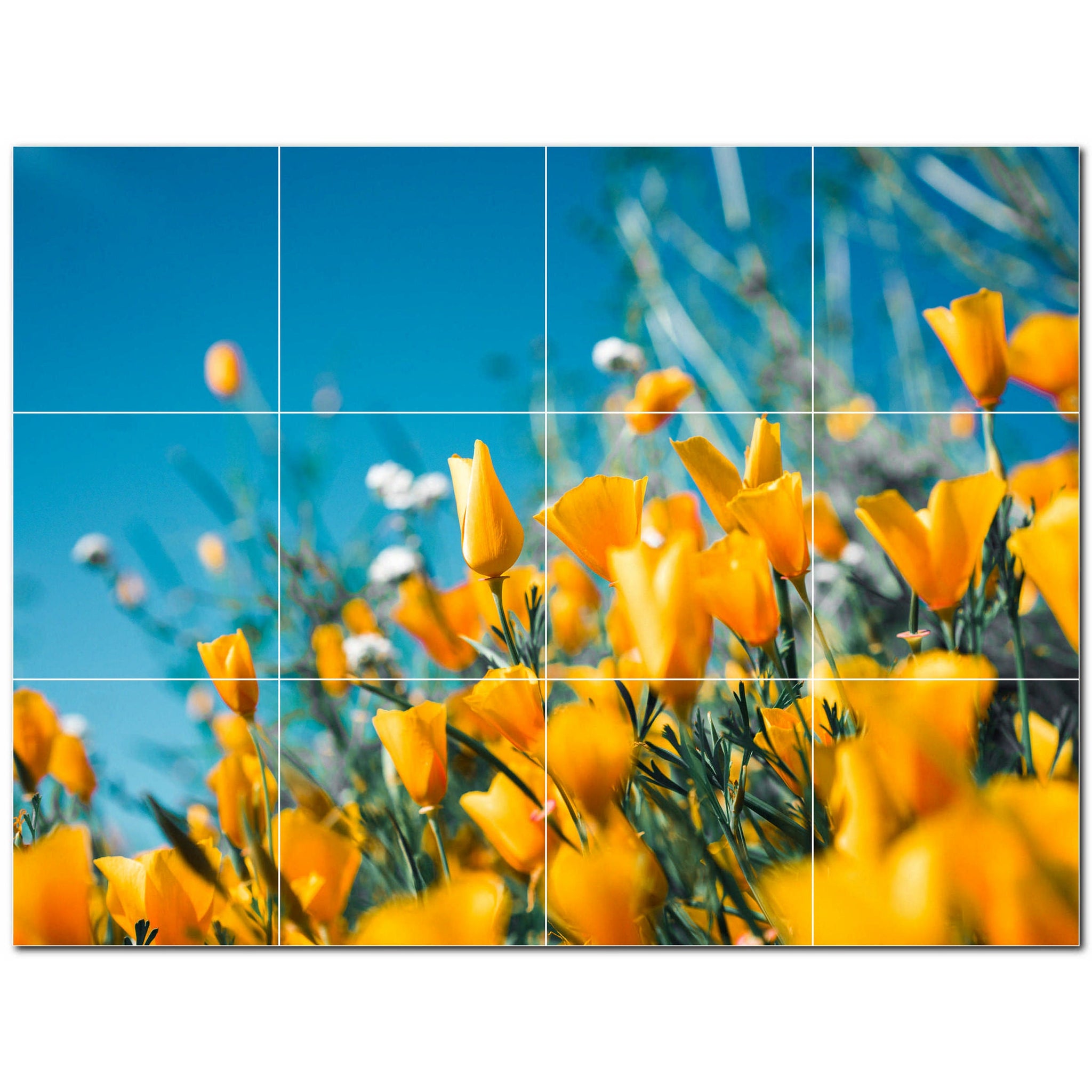 Spring Photo Tile Murals – Picture-Tiles.com