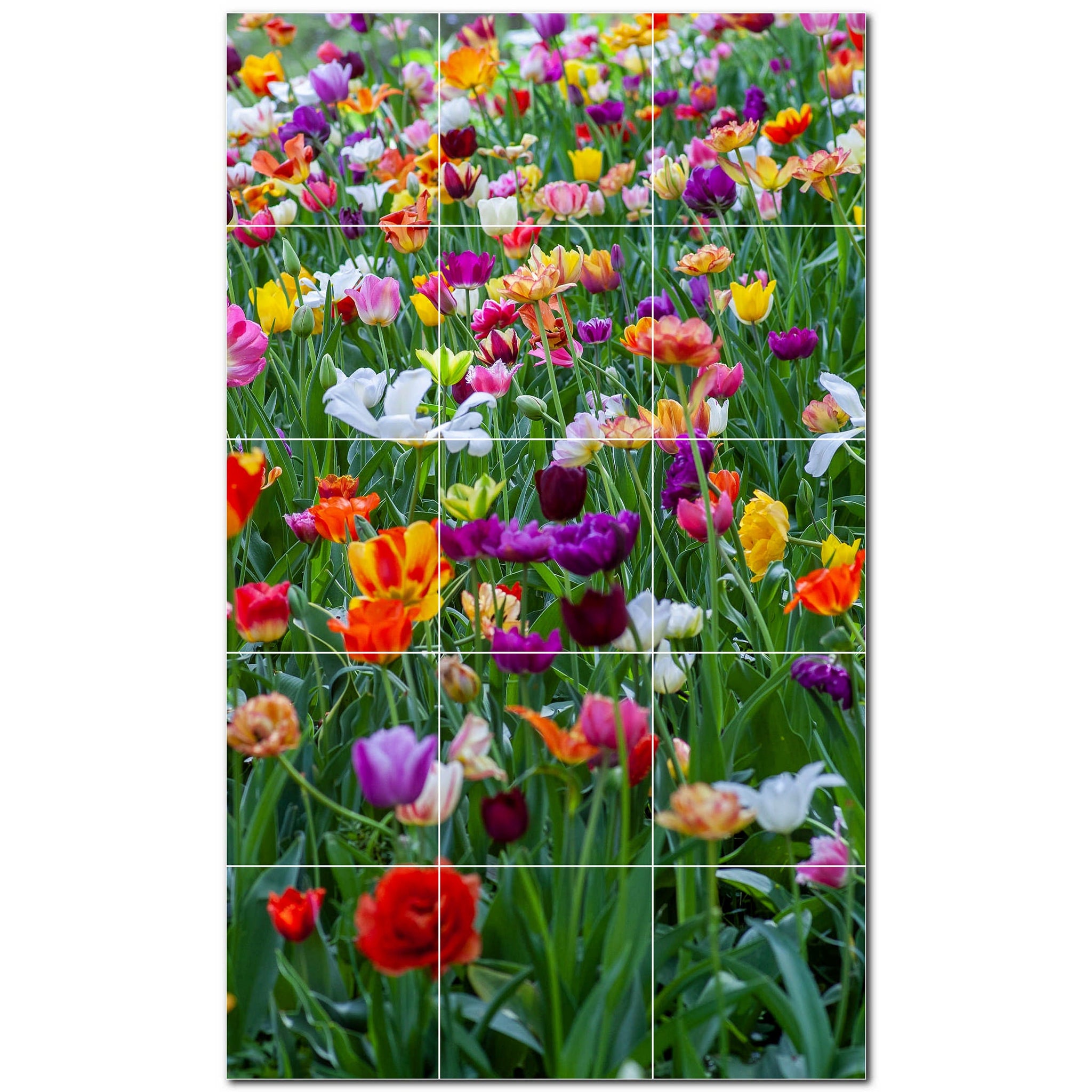 Spring Photo Tile Murals – Picture-Tiles.com