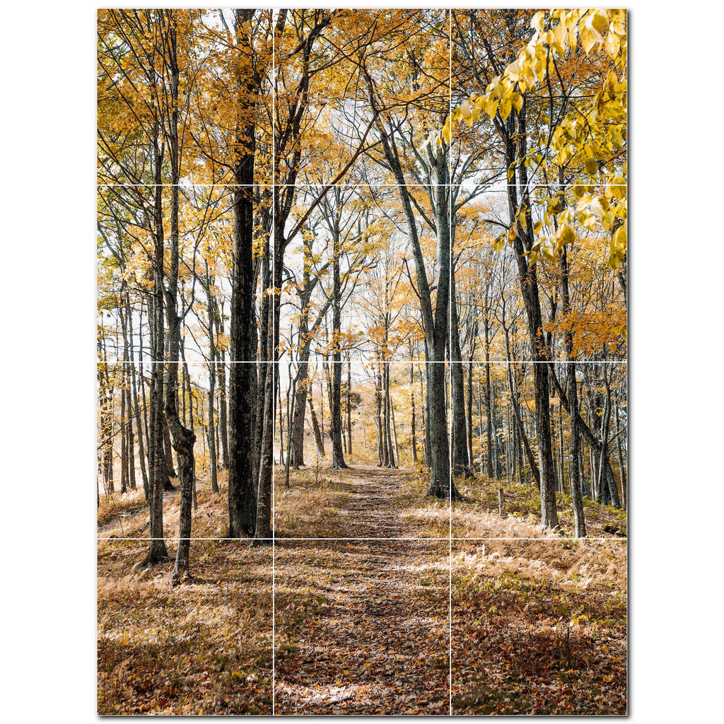 Trees Ceramic Tile Wall Mural Kitchen Backsplash Bathroom Shower P5010 ...