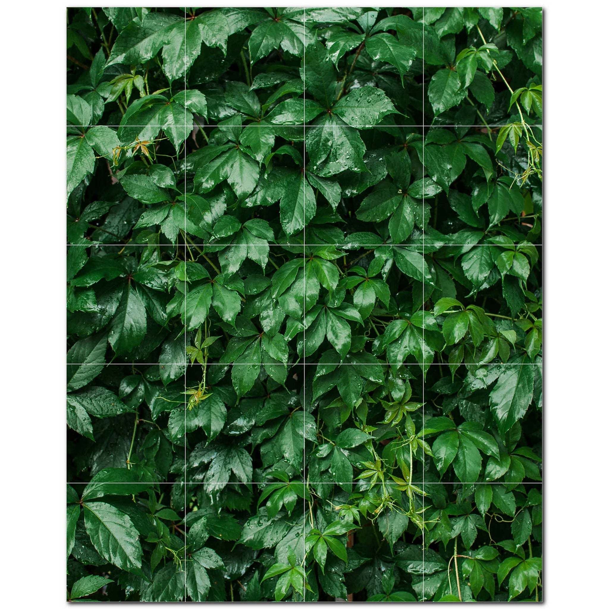 trees ceramic tile wall mural kitchen backsplash bathroom shower p501006