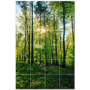 trees ceramic tile wall mural kitchen backsplash bathroom shower p501023