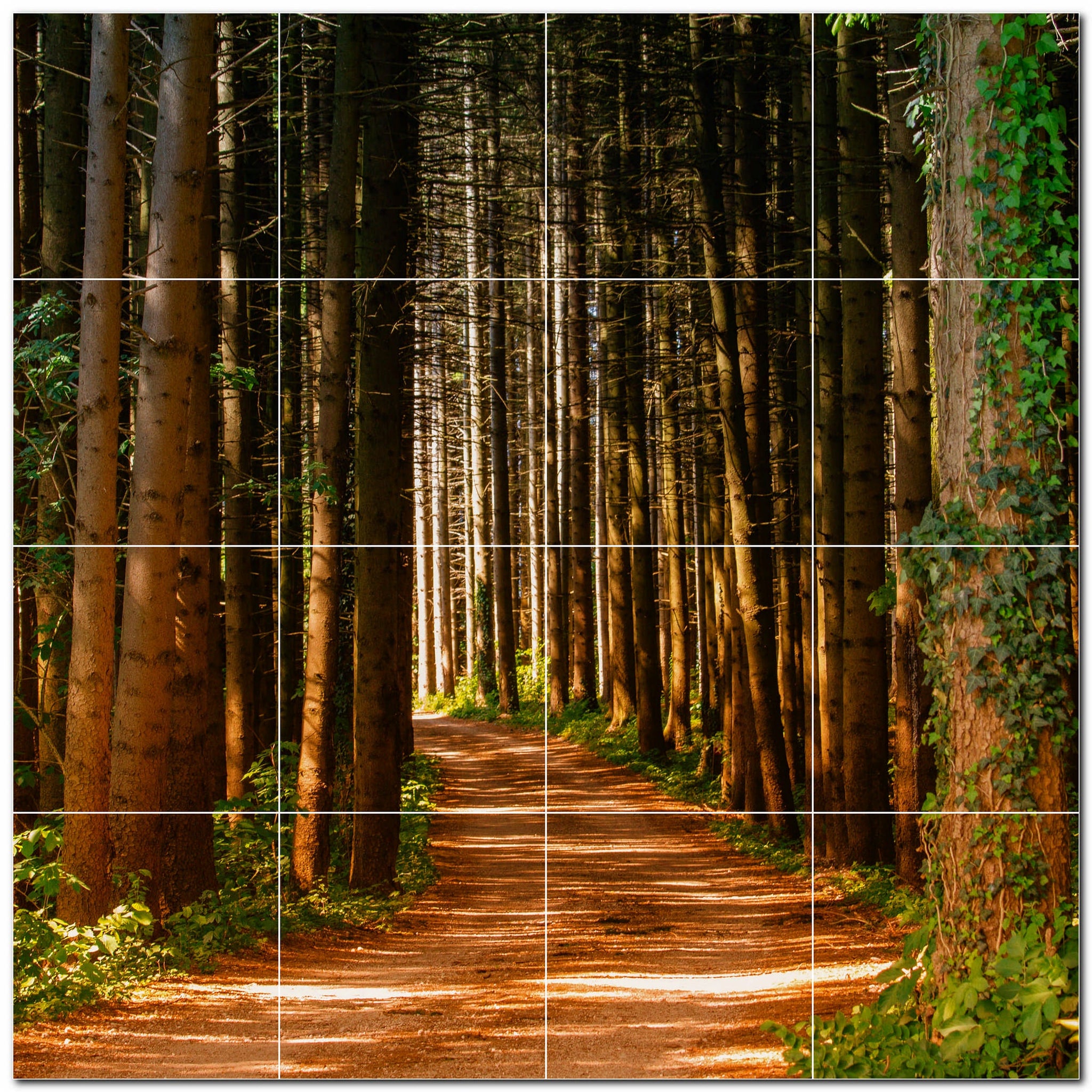 Tiling Tree Background Tree Forest Photo Tile Murals – Picture-Tiles.com