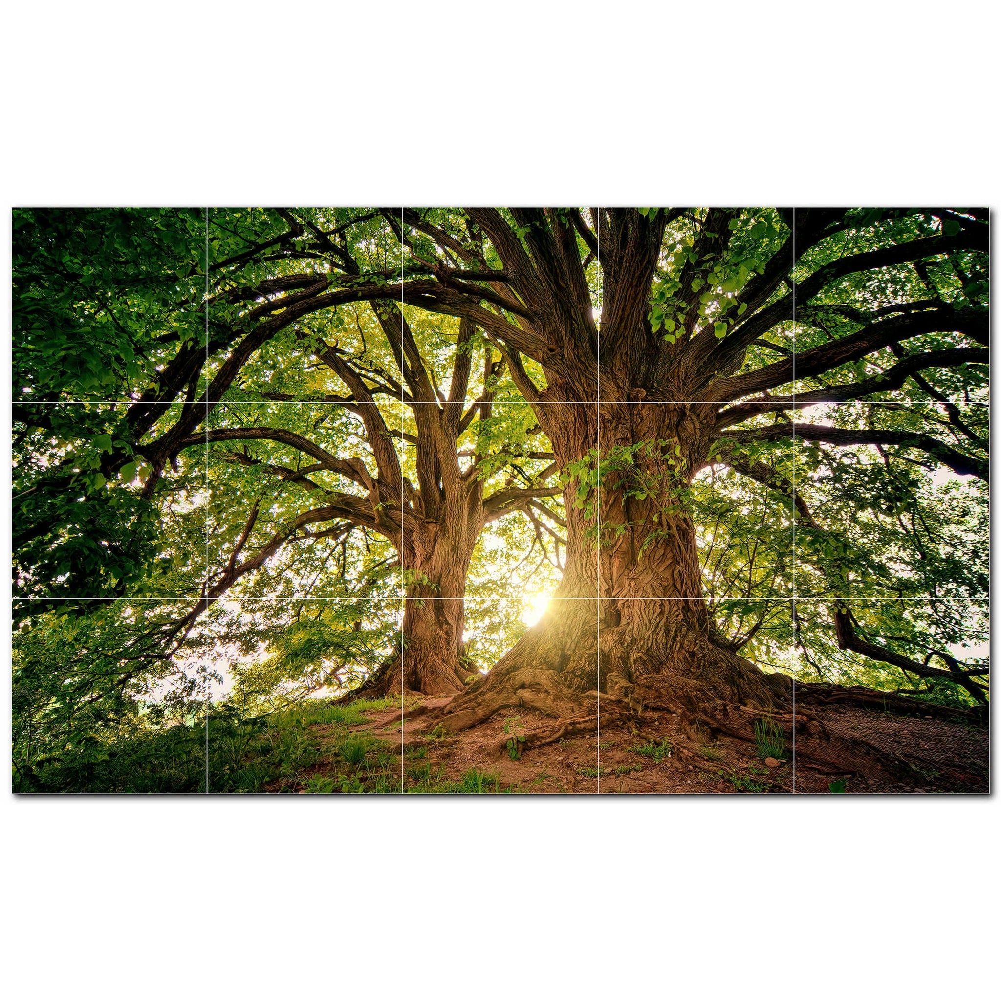 trees ceramic tile wall mural kitchen backsplash bathroom shower p501032