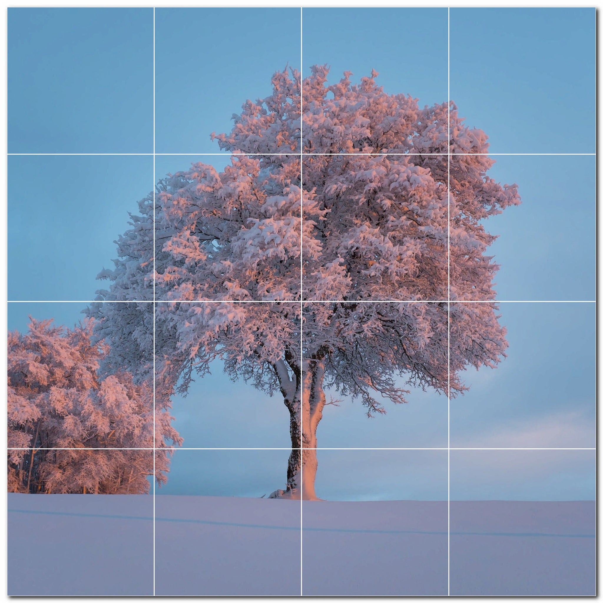 Tiling Tree Background Tree Forest Photo Tile Murals – Picture-Tiles.com
