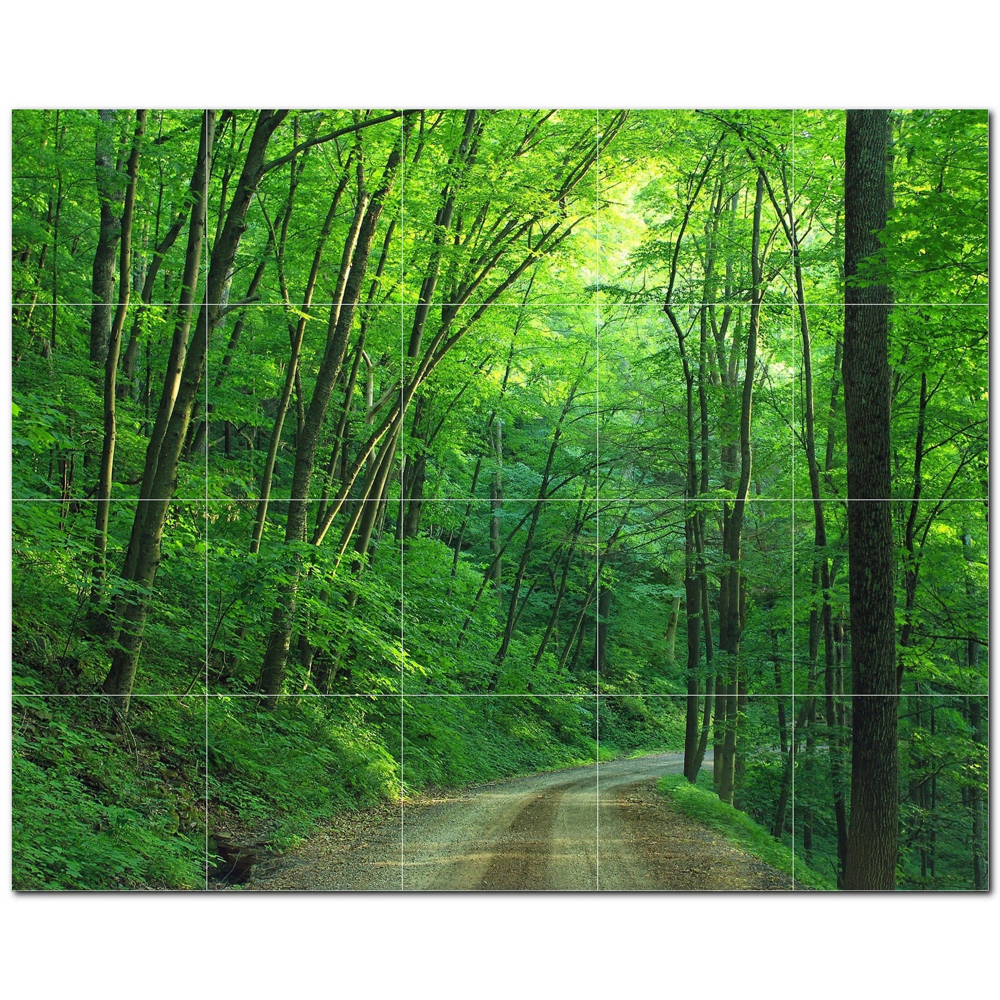 trees ceramic tile wall mural kitchen backsplash bathroom shower p501036