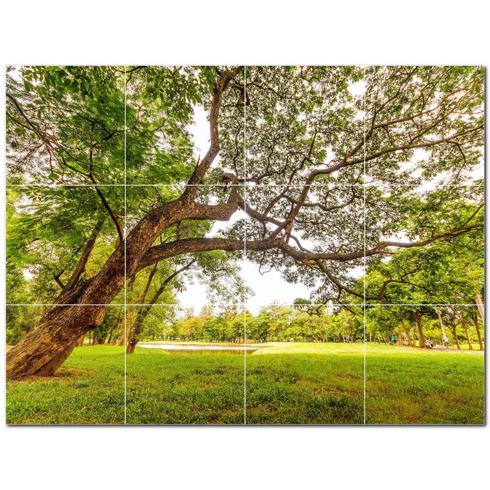 Tiling Tree Background Tree Forest Photo Tile Murals – Picture-Tiles.com