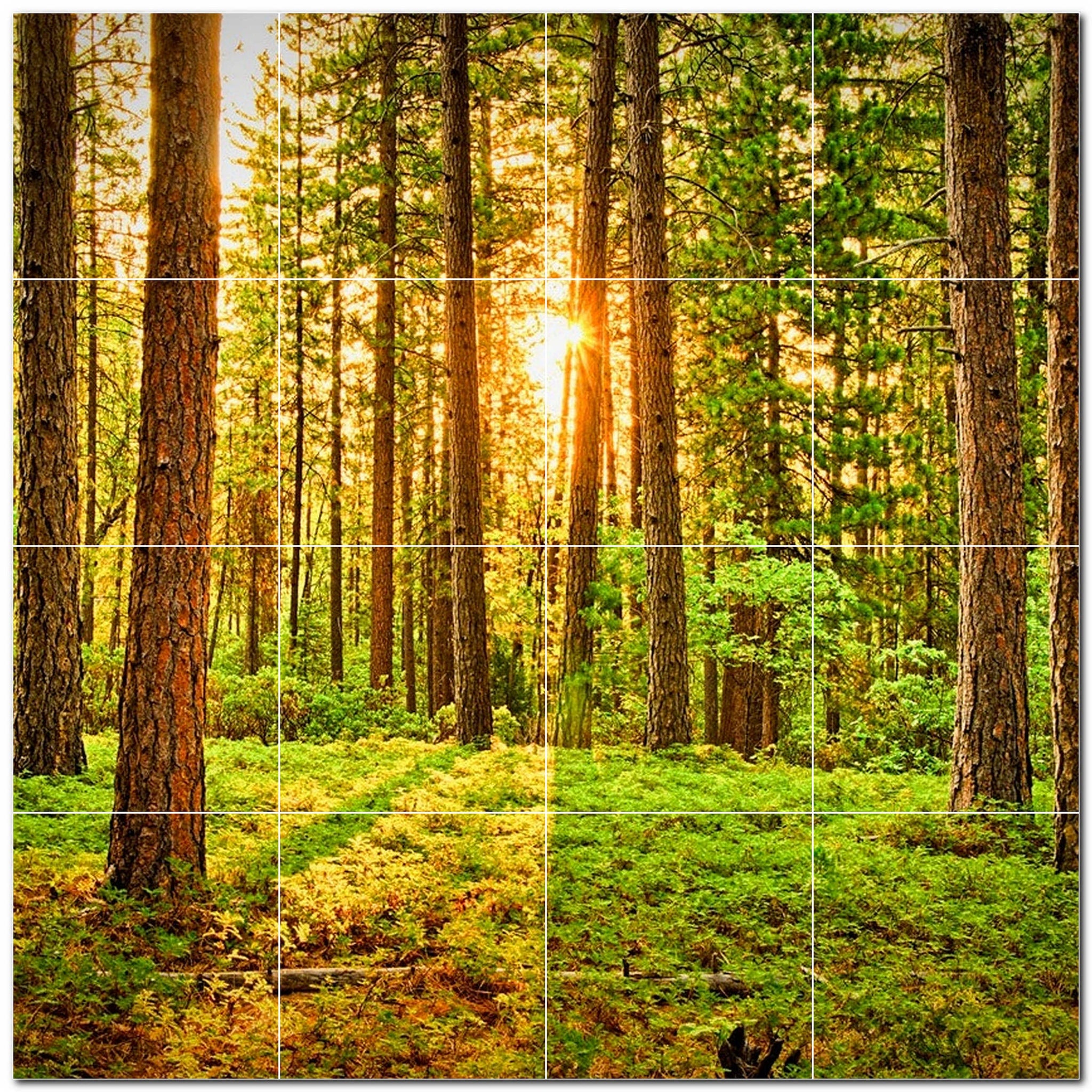 Tiling Tree Background Tree Forest Photo Tile Murals – Picture-Tiles.com