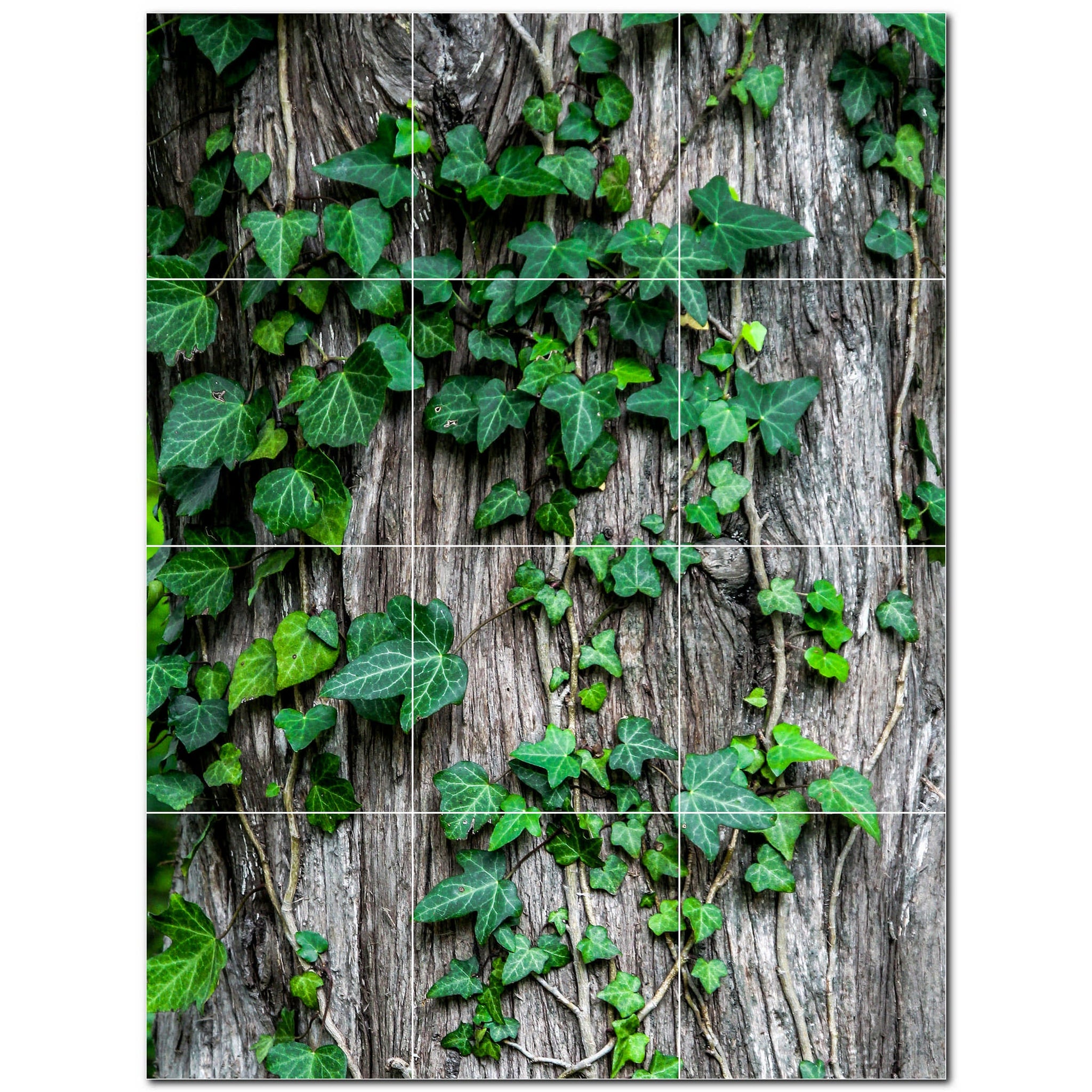 Tiling Tree Background Tree Forest Photo Tile Murals – Picture-Tiles.com