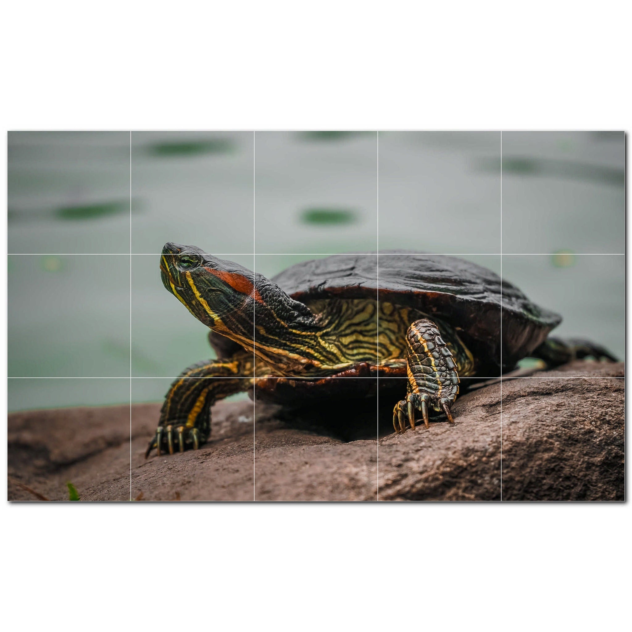 turtle ceramic tile wall mural kitchen backsplash bathroom shower p501048