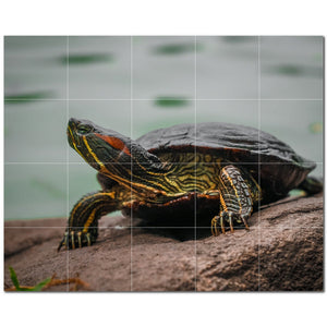 turtle ceramic tile wall mural kitchen backsplash bathroom shower p501048