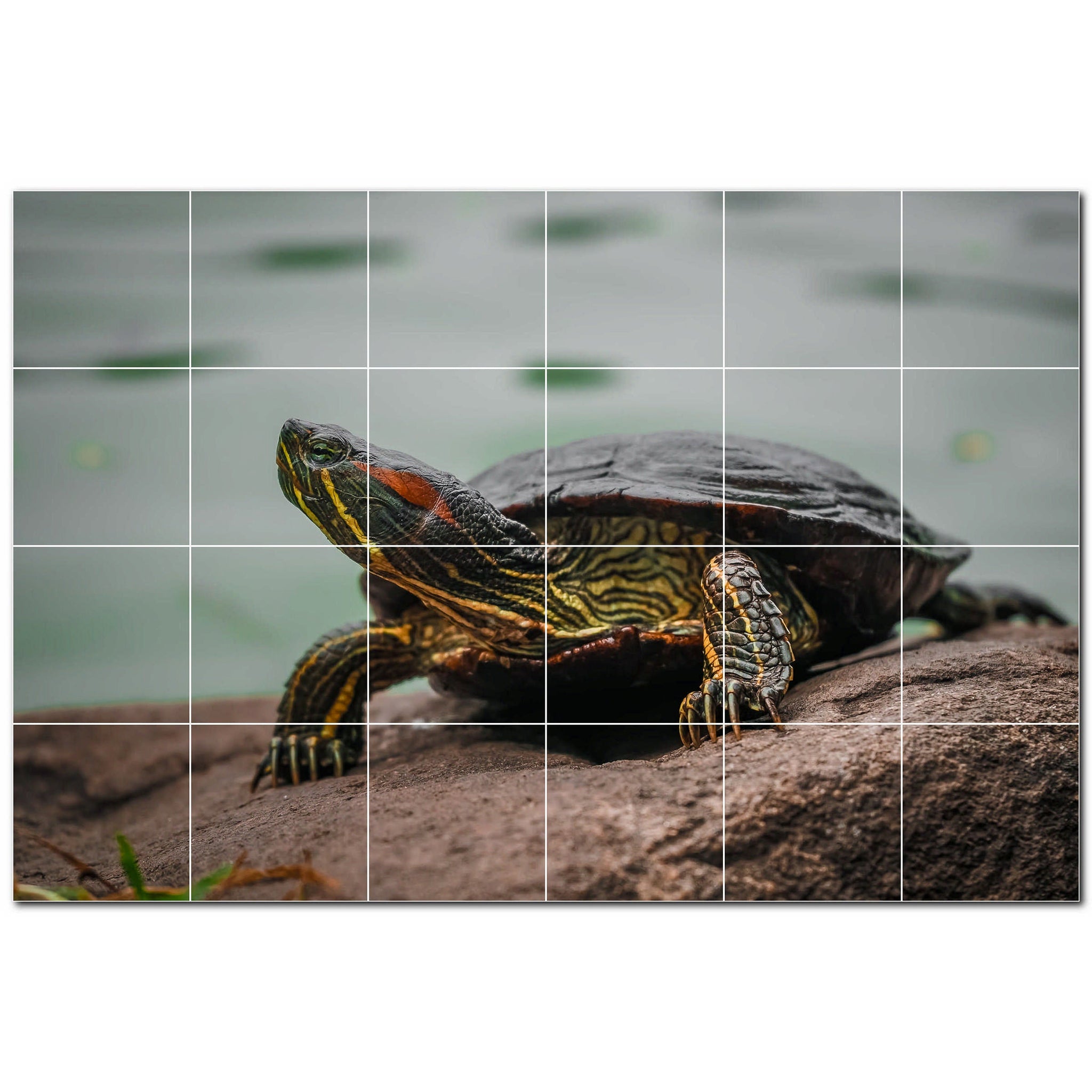 turtle ceramic tile wall mural kitchen backsplash bathroom shower p501048