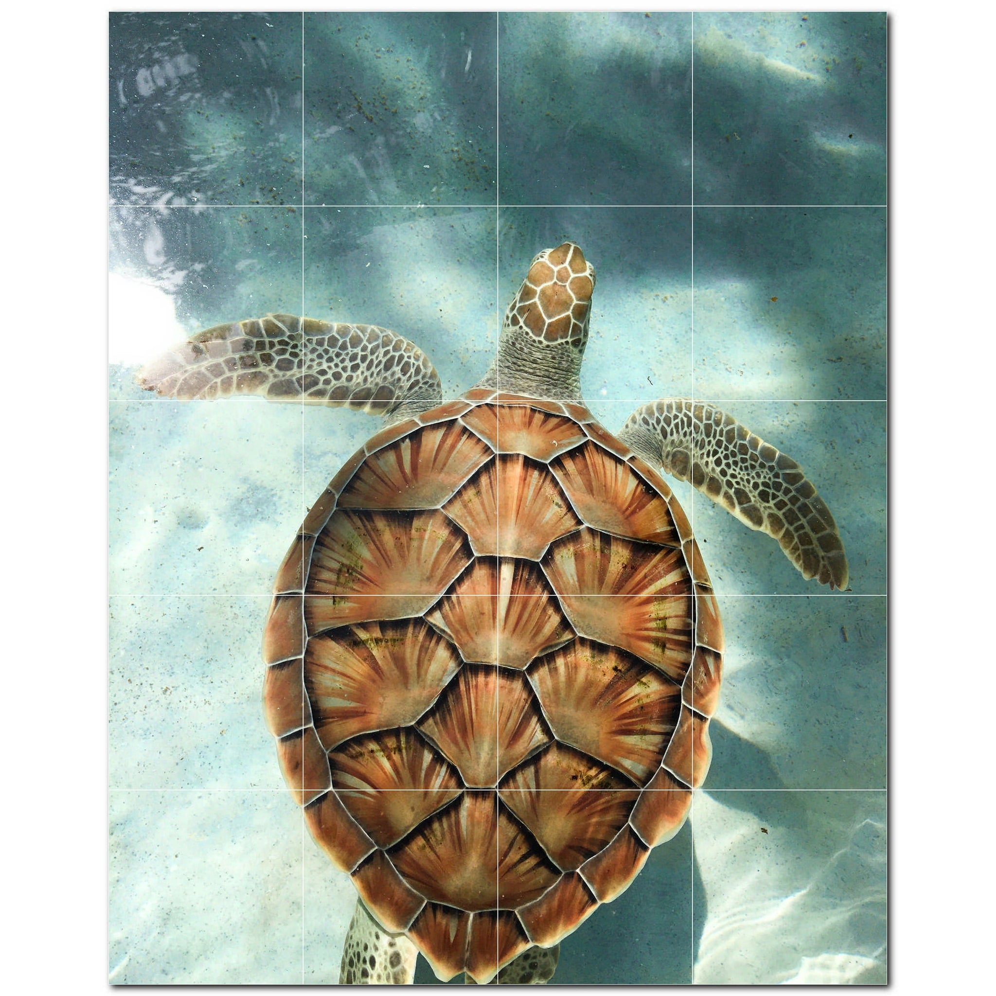 turtle ceramic tile wall mural kitchen backsplash bathroom shower p501049