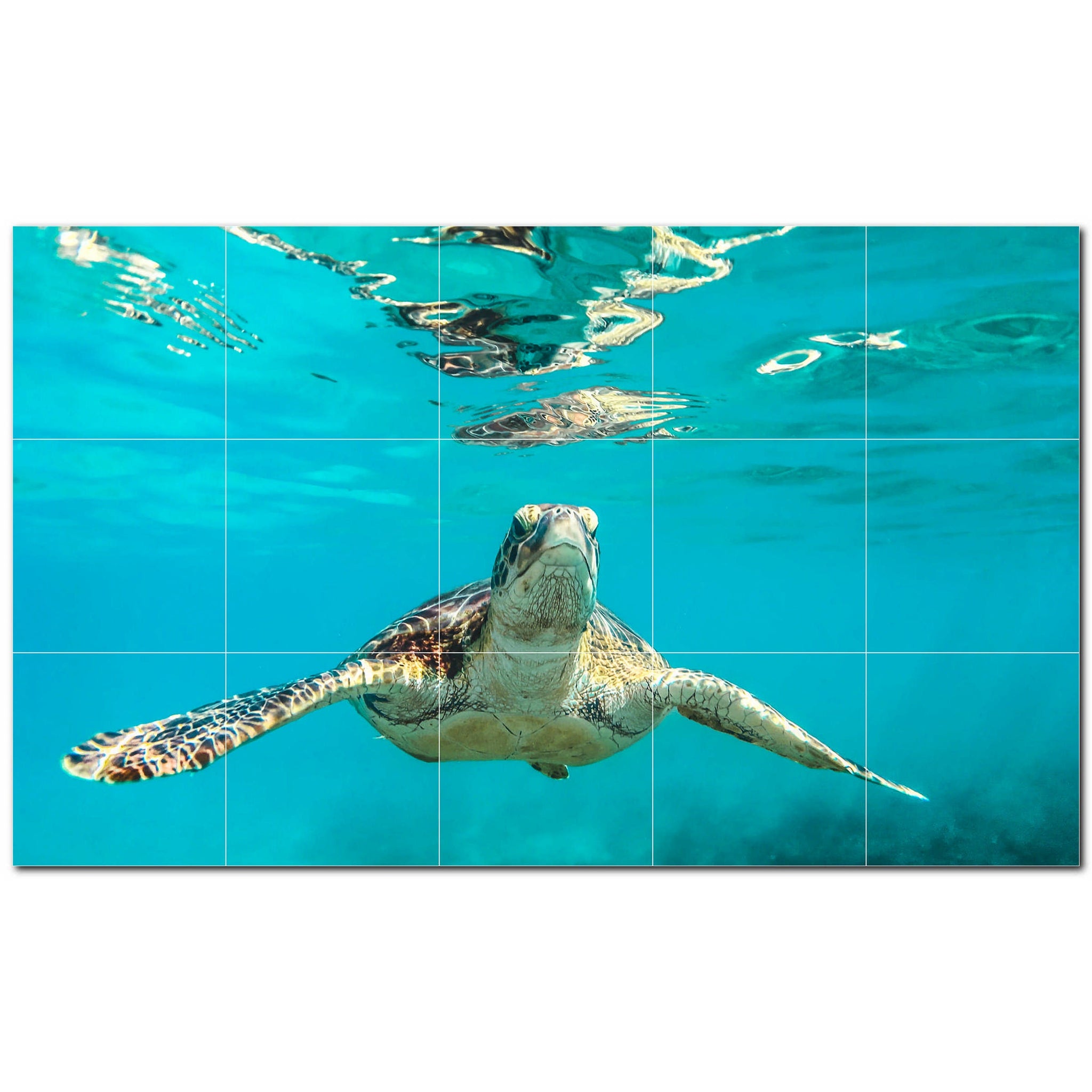 turtle ceramic tile wall mural kitchen backsplash bathroom shower p501050