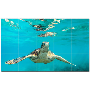 turtle ceramic tile wall mural kitchen backsplash bathroom shower p501050