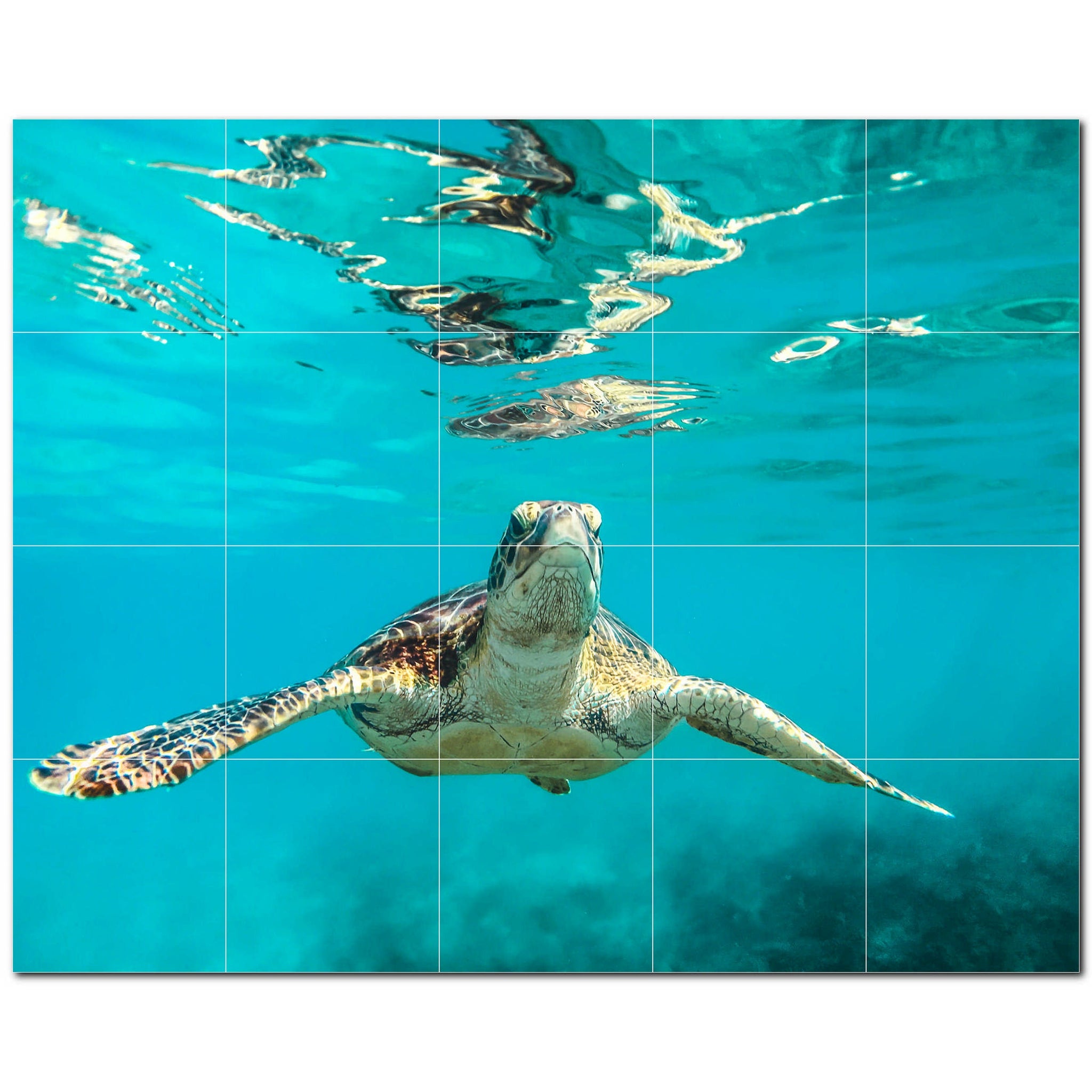 turtle ceramic tile wall mural kitchen backsplash bathroom shower p501050