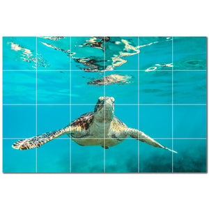 turtle ceramic tile wall mural kitchen backsplash bathroom shower p501050