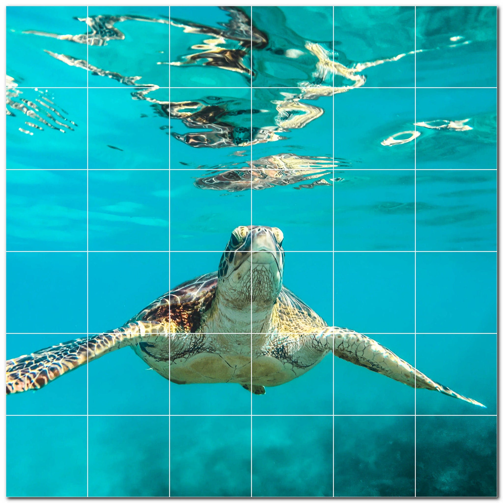 turtle ceramic tile wall mural kitchen backsplash bathroom shower p501050