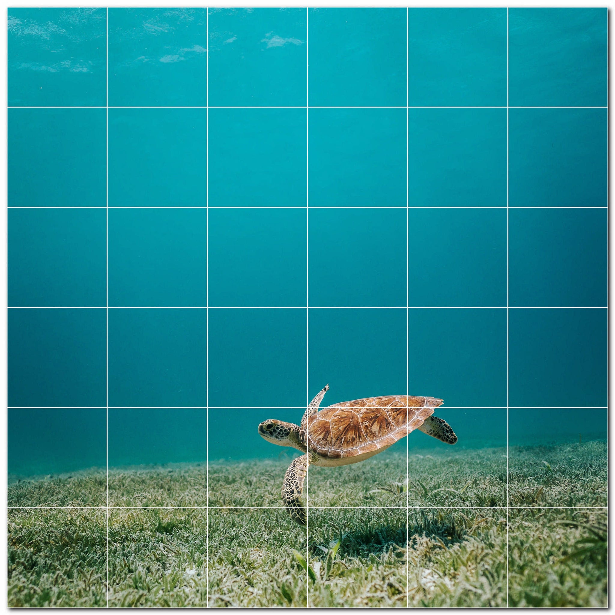 turtle ceramic tile wall mural kitchen backsplash bathroom shower p501051