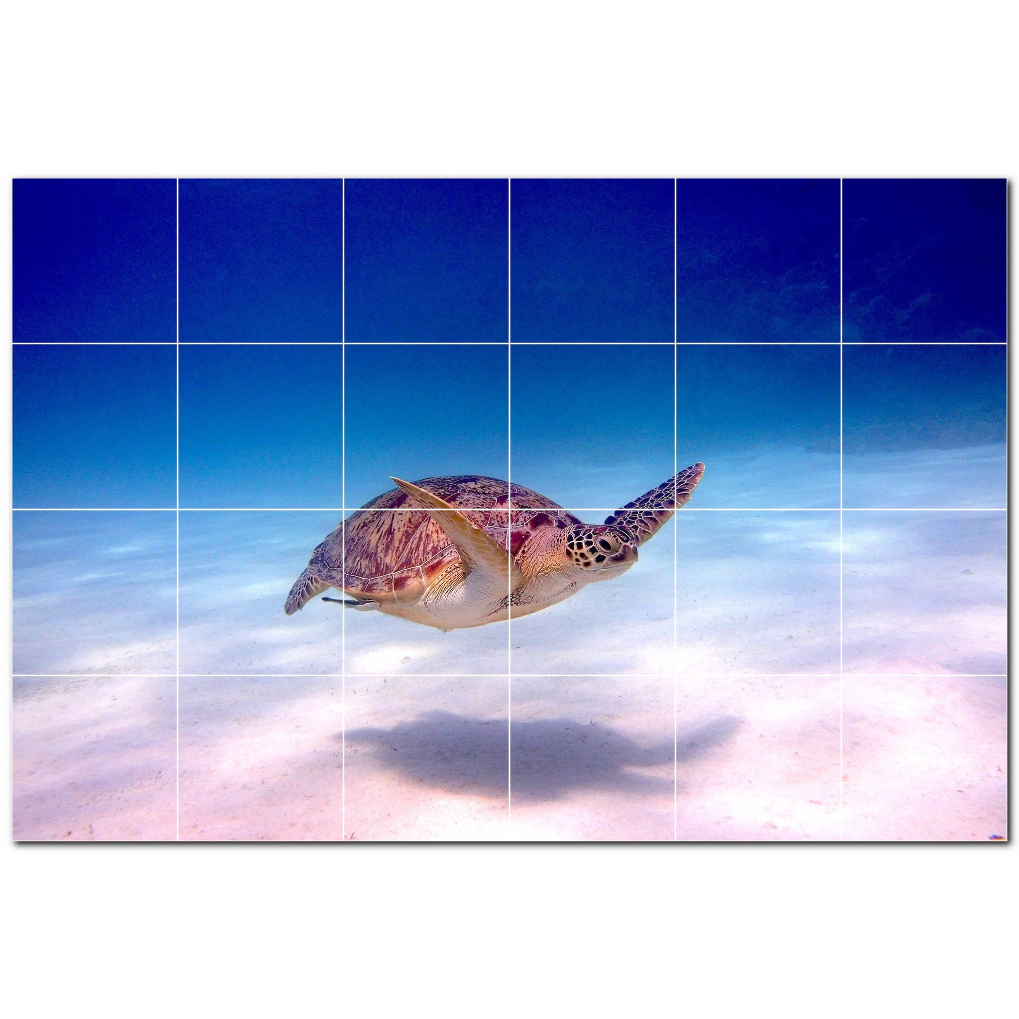 turtle ceramic tile wall mural kitchen backsplash bathroom shower p501053