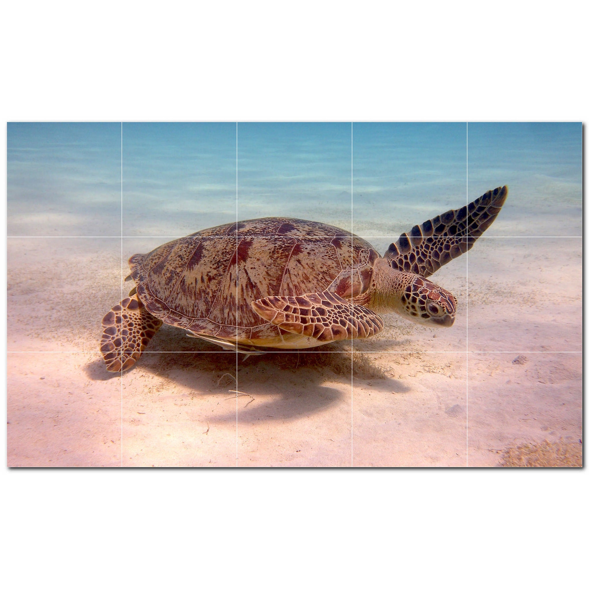 turtle ceramic tile wall mural kitchen backsplash bathroom shower p501054