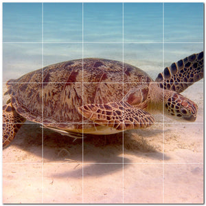 turtle ceramic tile wall mural kitchen backsplash bathroom shower p501054