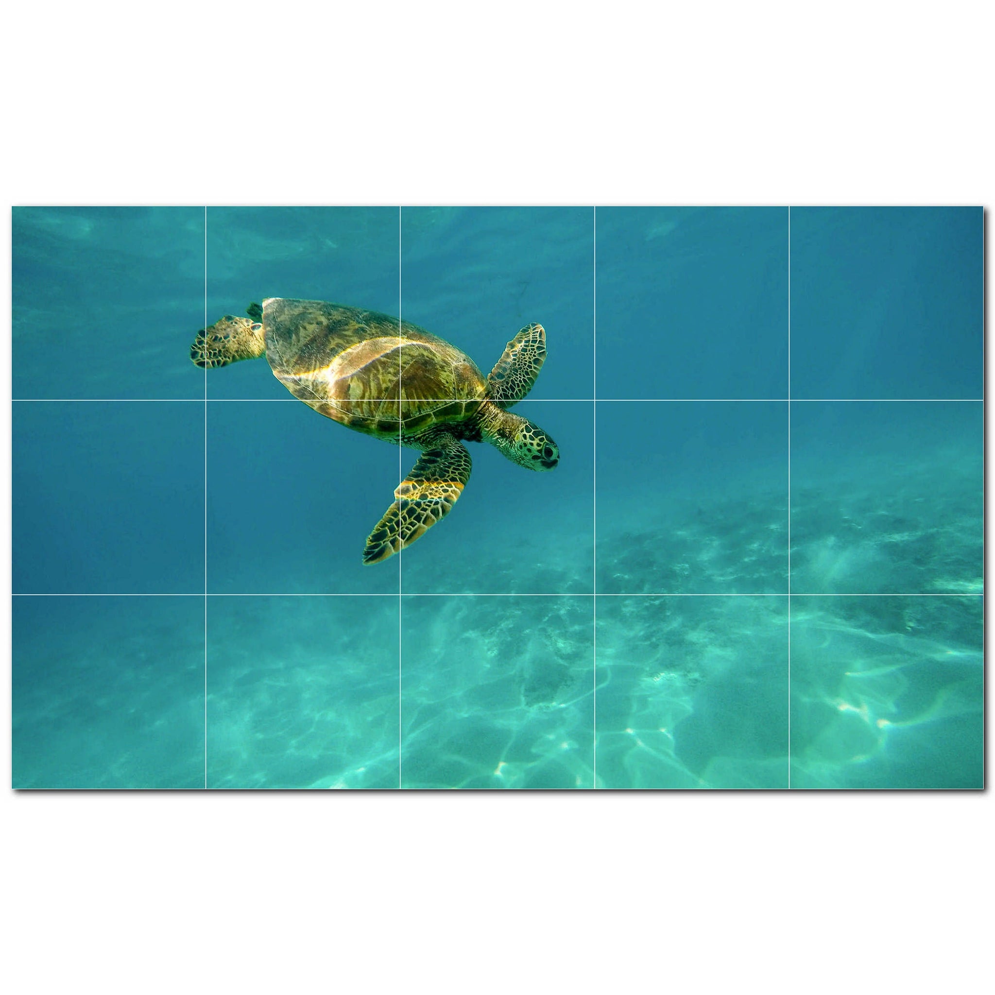 turtle ceramic tile wall mural kitchen backsplash bathroom shower p501056