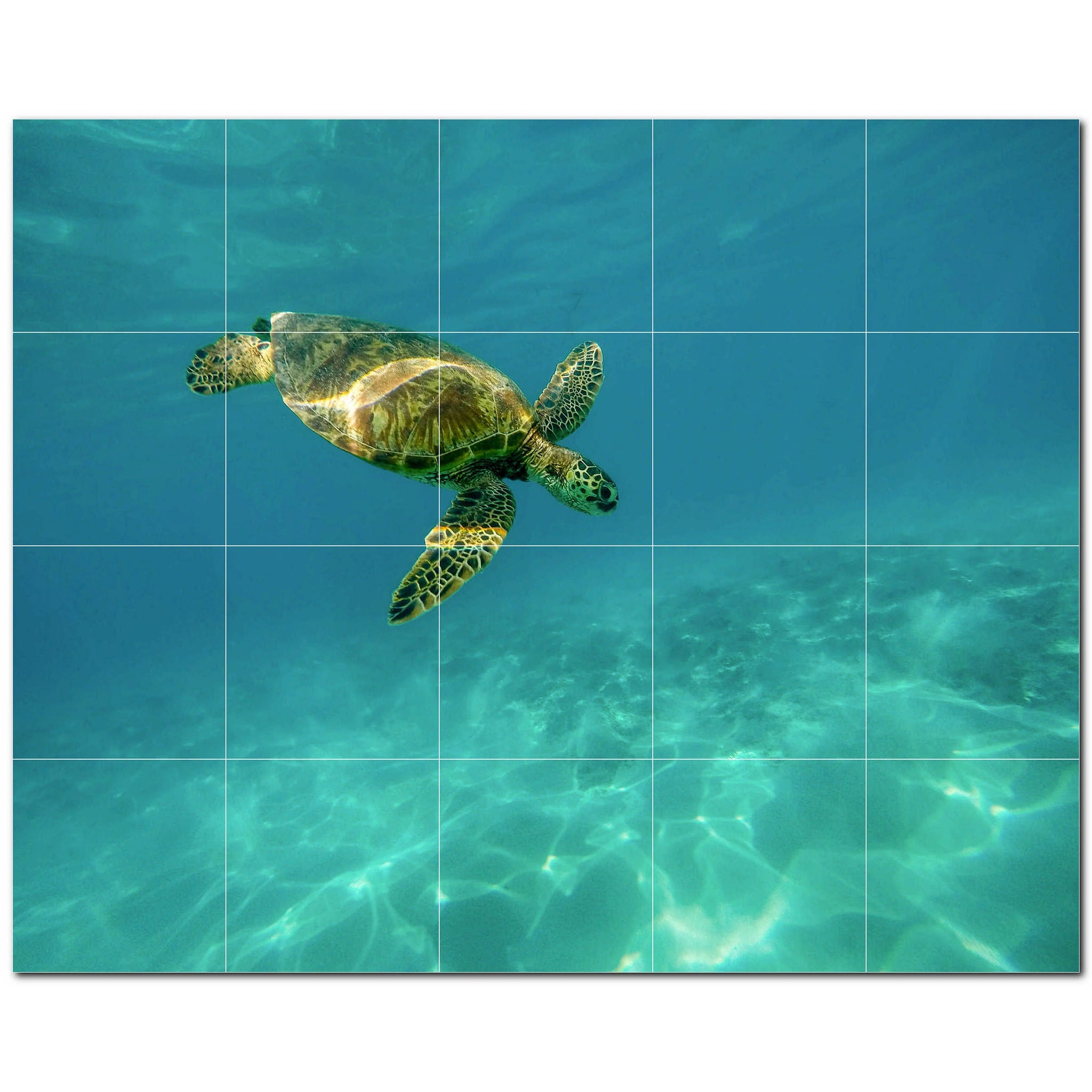 turtle ceramic tile wall mural kitchen backsplash bathroom shower p501056