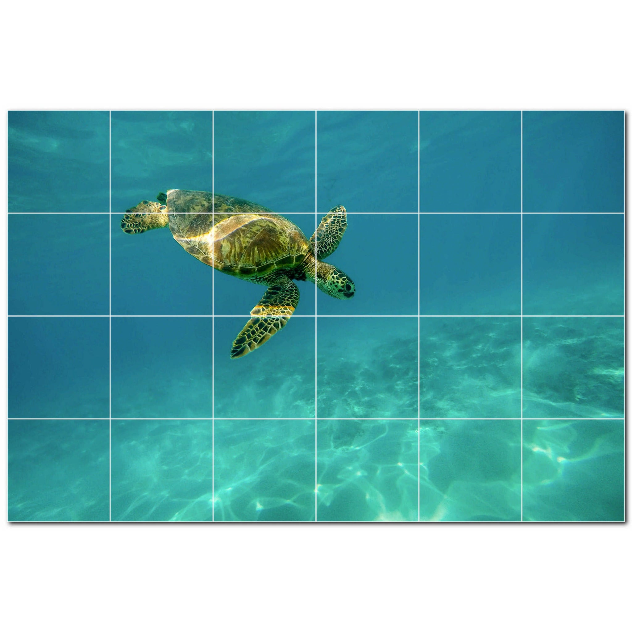 turtle ceramic tile wall mural kitchen backsplash bathroom shower p501056