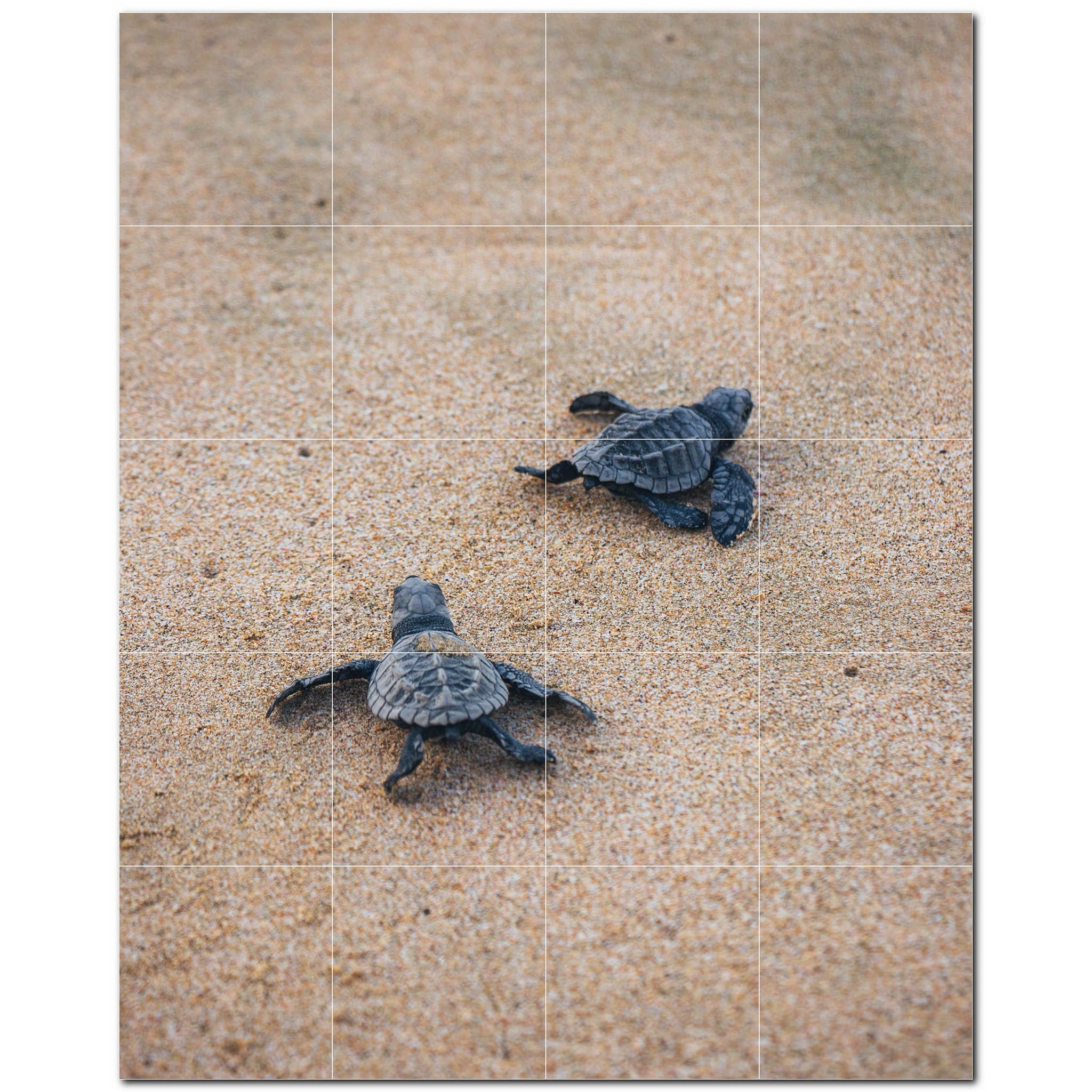 turtle ceramic tile wall mural kitchen backsplash bathroom shower p501058